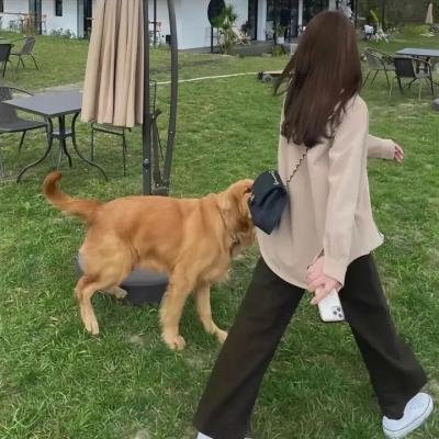 莲花太子